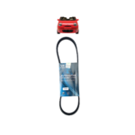 Correa de Accesorios - IQ (0.8/1.1L)